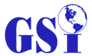 GSI logo
