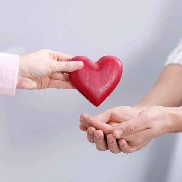 Donor Relationship Management