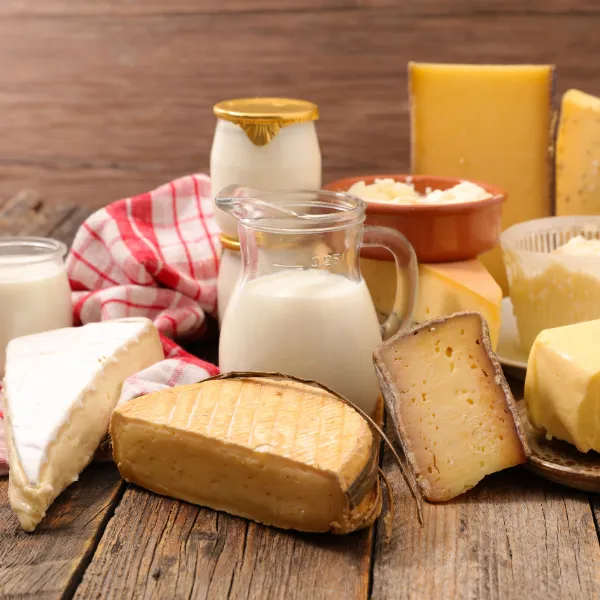 Elevate the Efficiency of your Dairy Business.