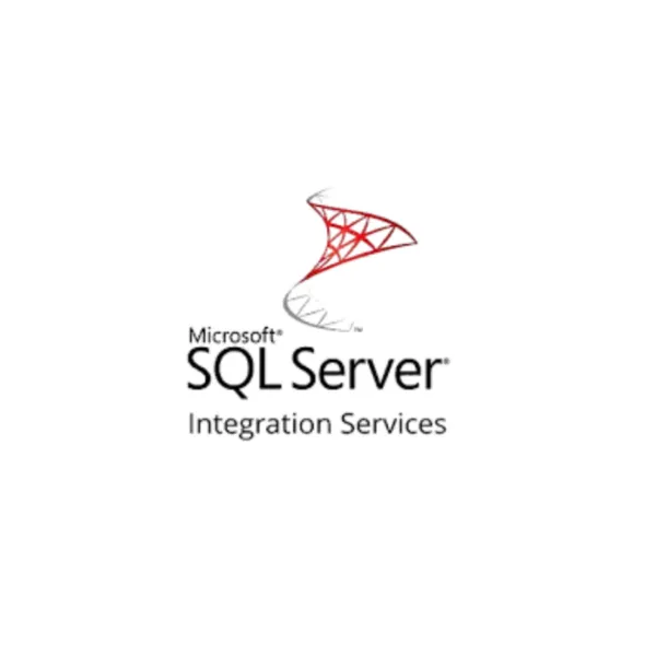 SQL Server Integration Services (SSIS) tool